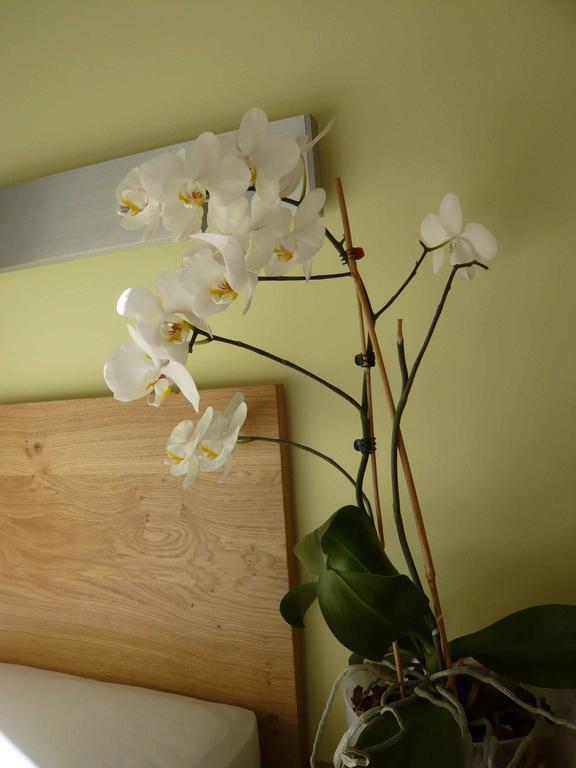 Valbella Bed & Breakfast Partenen Quarto foto